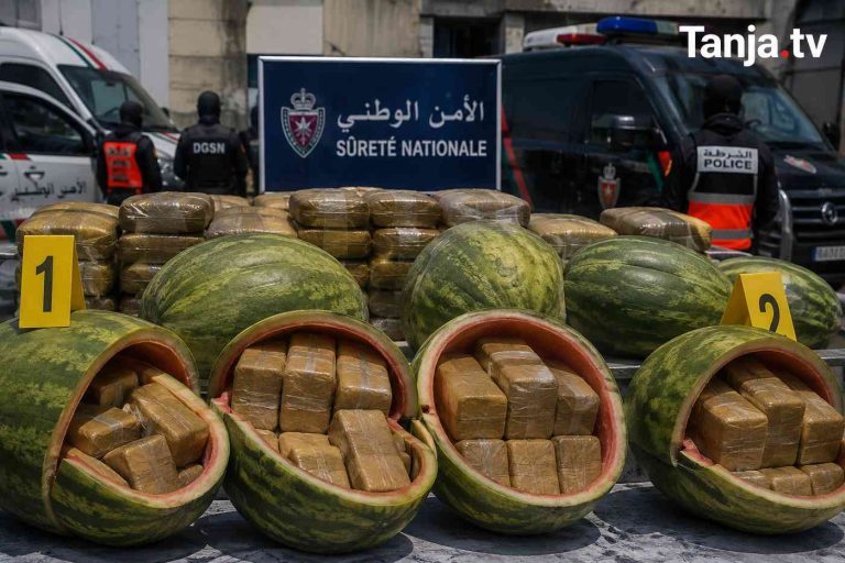 عملية أمنية تسقط شبكة بطنجة حاولت تهريب الشيرا داخل مجسمات تحاكي “الدلاح” Tanja.tv